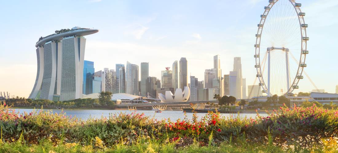 Panorama of Singapore Bay Gardens with city skyline in the background
