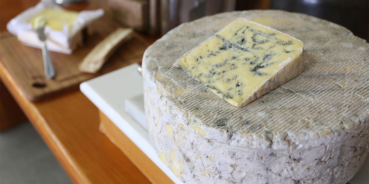 ashgrove-cheese-fhlh-day-5.jpg