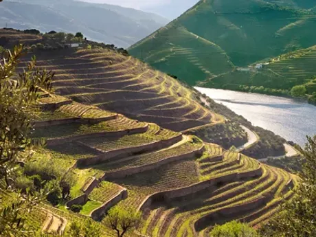 Porto Douro River in Portugal