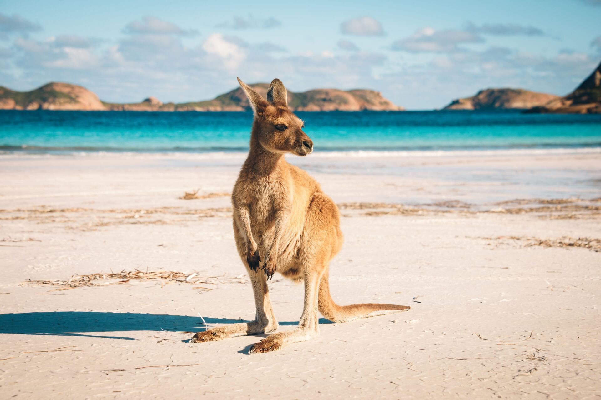 esperance-kangaroo-beach.jpeg