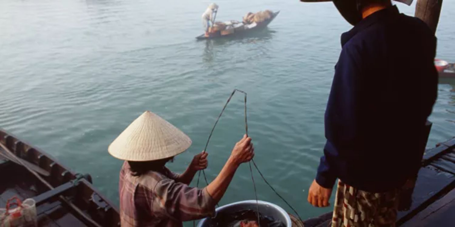 Cu Chi Thunnels Vietnam